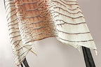 Chiffon Print Blouse For Women Loose Fit