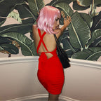 Pleated Lace Dress