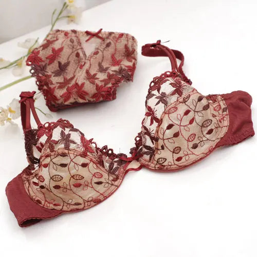 Burgundy Lace Mesh Push Up Bra Set With Embroidery Ultra Thin Sexy Lingerie For Women