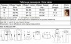 Lace Sheer Bodycon Dress With O Neck Long Sleeve