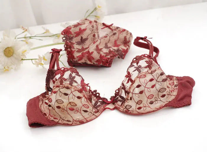 Burgundy Lace Mesh Push Up Bra Set With Embroidery Ultra Thin Sexy Lingerie For Women