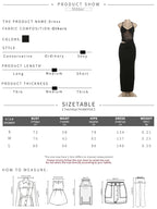 Mesh Patchwork Maxi Dress With Backless Silhouette Sleeveless
