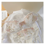 Lace Set With Embroidered Details Two-piece Sheer Push Up Bra And Matching Briefs