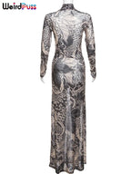 Mesh Print Maxi Bodycon Dress With Turtleneck And Long Sleeves