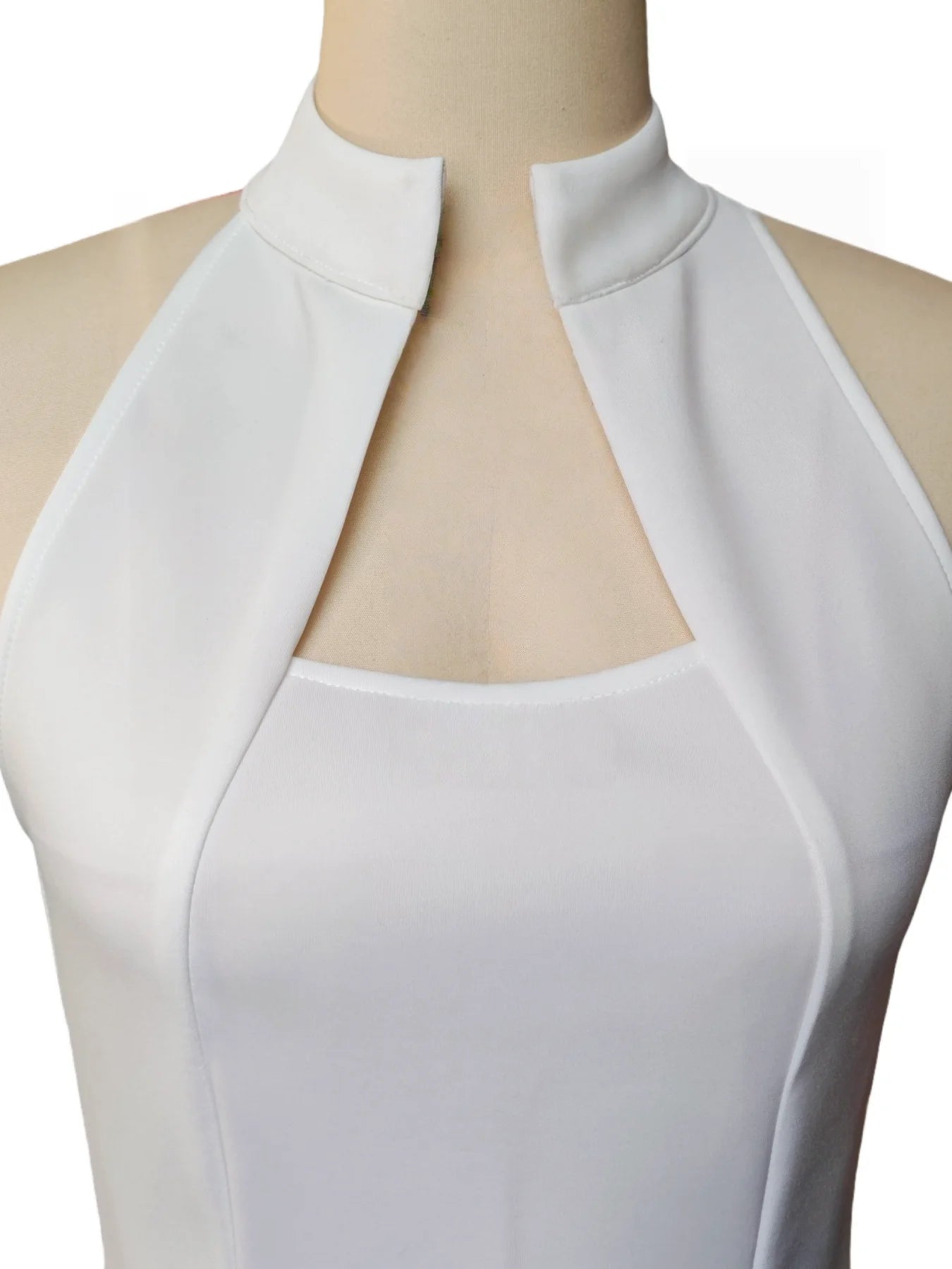 Elegant Sleeveless Gown With Stand Collar Knee Length Slim Fit