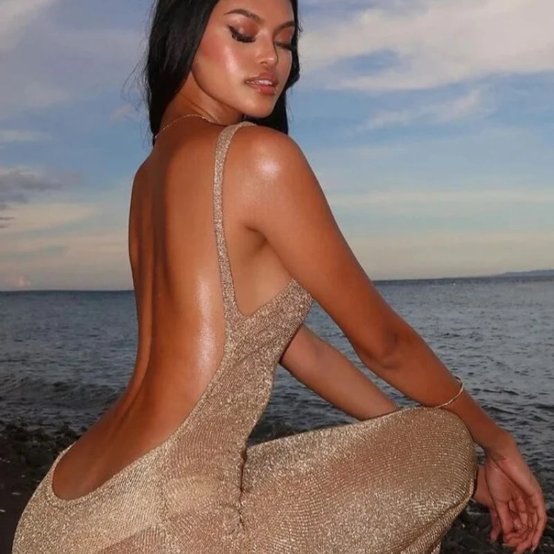 See Through Glitter Backless Dress l