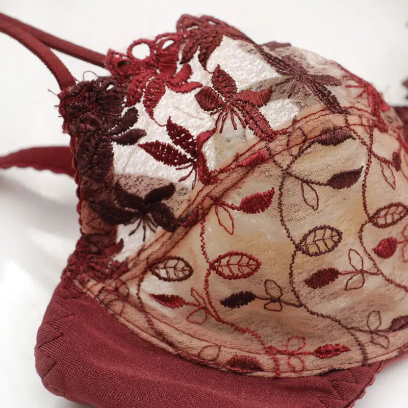 Burgundy Lace Mesh Push Up Bra Set With Embroidery Ultra Thin Sexy Lingerie For Women
