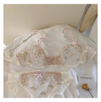 Lace Set With Embroidered Details Two-piece Sheer Push Up Bra And Matching Briefs