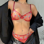 Ultrathin Sheer Push Up Bra Set With Embroidery For Women Delicate Lingerie