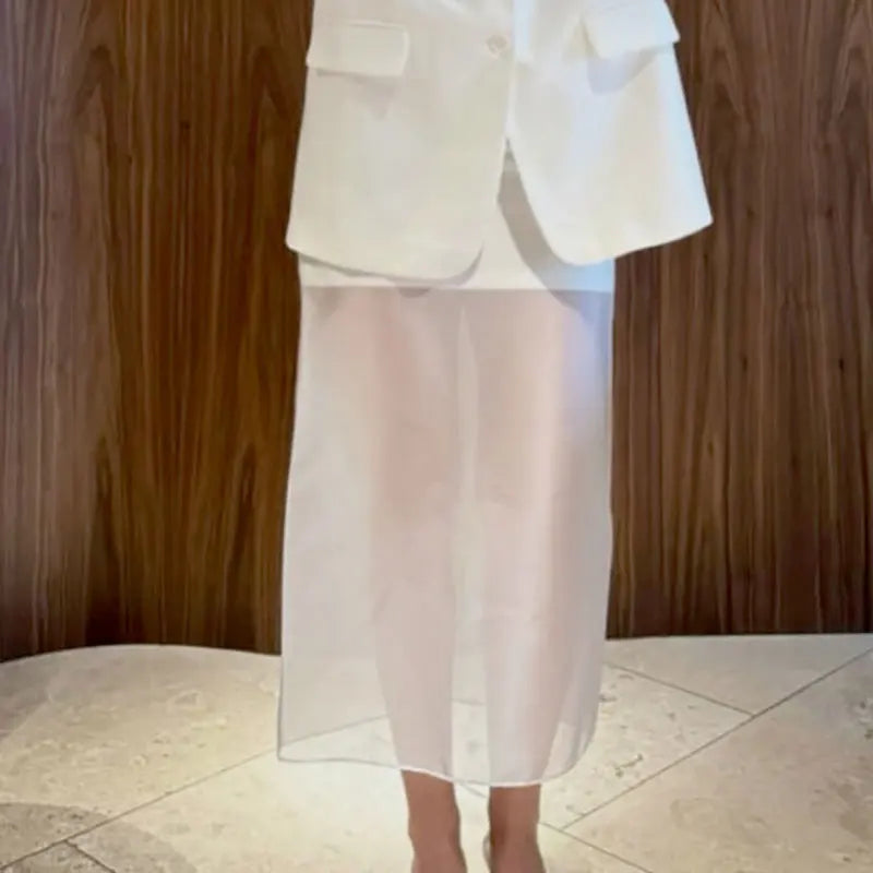See Through High Waist Mesh Maxi Skirt