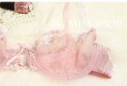 Lace Set With Embroidered Details Two-piece Sheer Push Up Bra And Matching Briefs