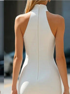 Elegant Sleeveless Gown With Stand Collar Knee Length Slim Fit