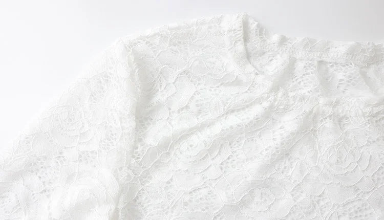 Lace Sheer Bodycon Dress With O Neck Long Sleeve