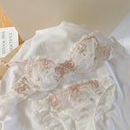 Lace Set With Embroidered Details Two-piece Sheer Push Up Bra And Matching Briefs