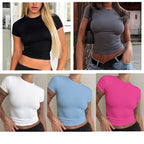 Slim Fit Knit Tee With O Neck