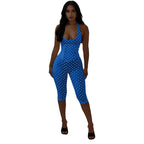 Cute Dots Design Halter Jumpsuit With Zipper Backless Sleeveless