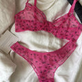 French Ultra Thin Lace Floral Lingerie Set With Plunge Mesh Bra And Matching Thong