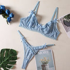 Lace Embroidered Bra and Thong Lingerie Set