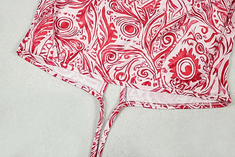 Paisley Print Backless Halter Crop Top Two Piece Set With Lace Up Detail And Skinny Pants