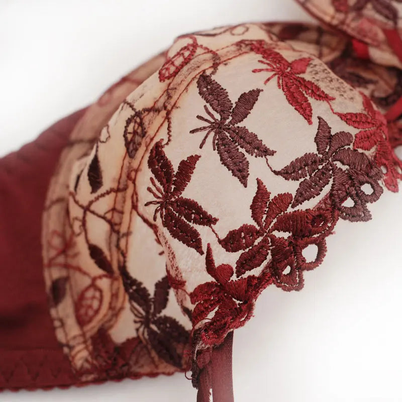 Burgundy Lace Mesh Push Up Bra Set With Embroidery Ultra Thin Sexy Lingerie For Women