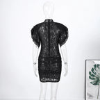 Lace Sheer Party Dress With Pleated Patchwork And Flutter Sleeves For Elegant Evenings