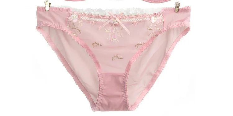 Lace Set With Embroidered Details Two-piece Sheer Push Up Bra And Matching Briefs