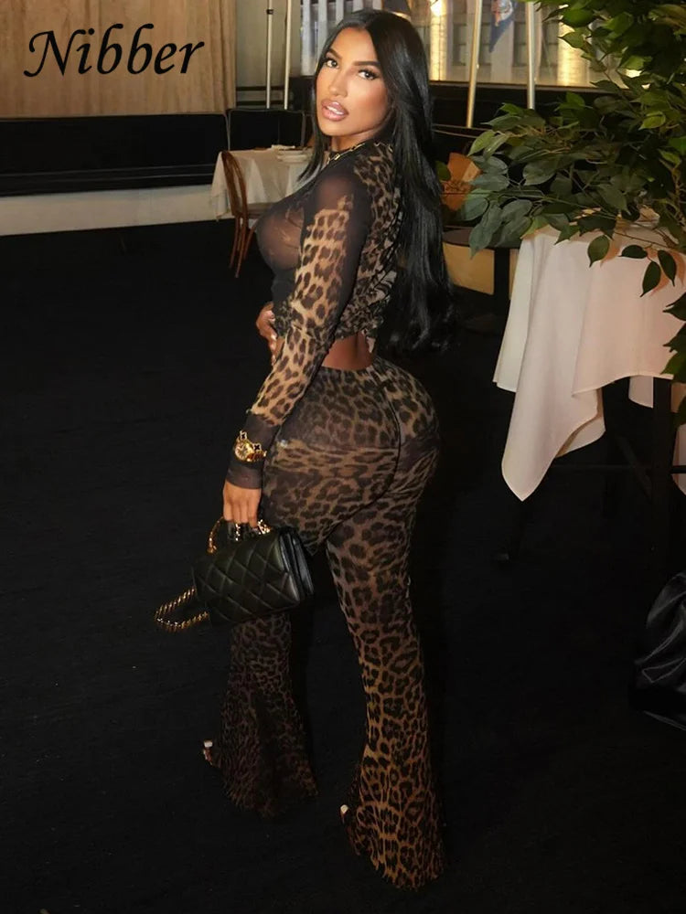 See Through two piece Set With Full Sleeve Crop Top And Skinny Pants
