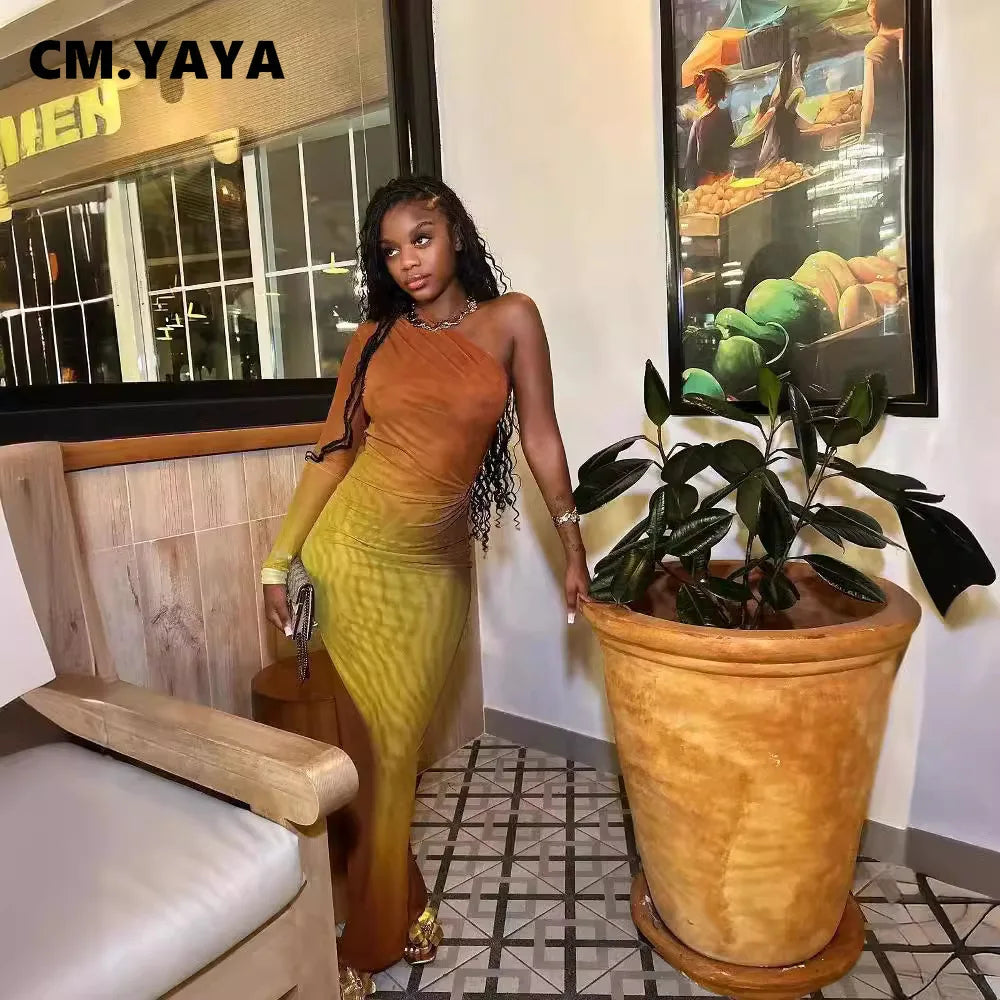 Long Maxi Dress With Skew Collar Full Sleeves Mesh See Through