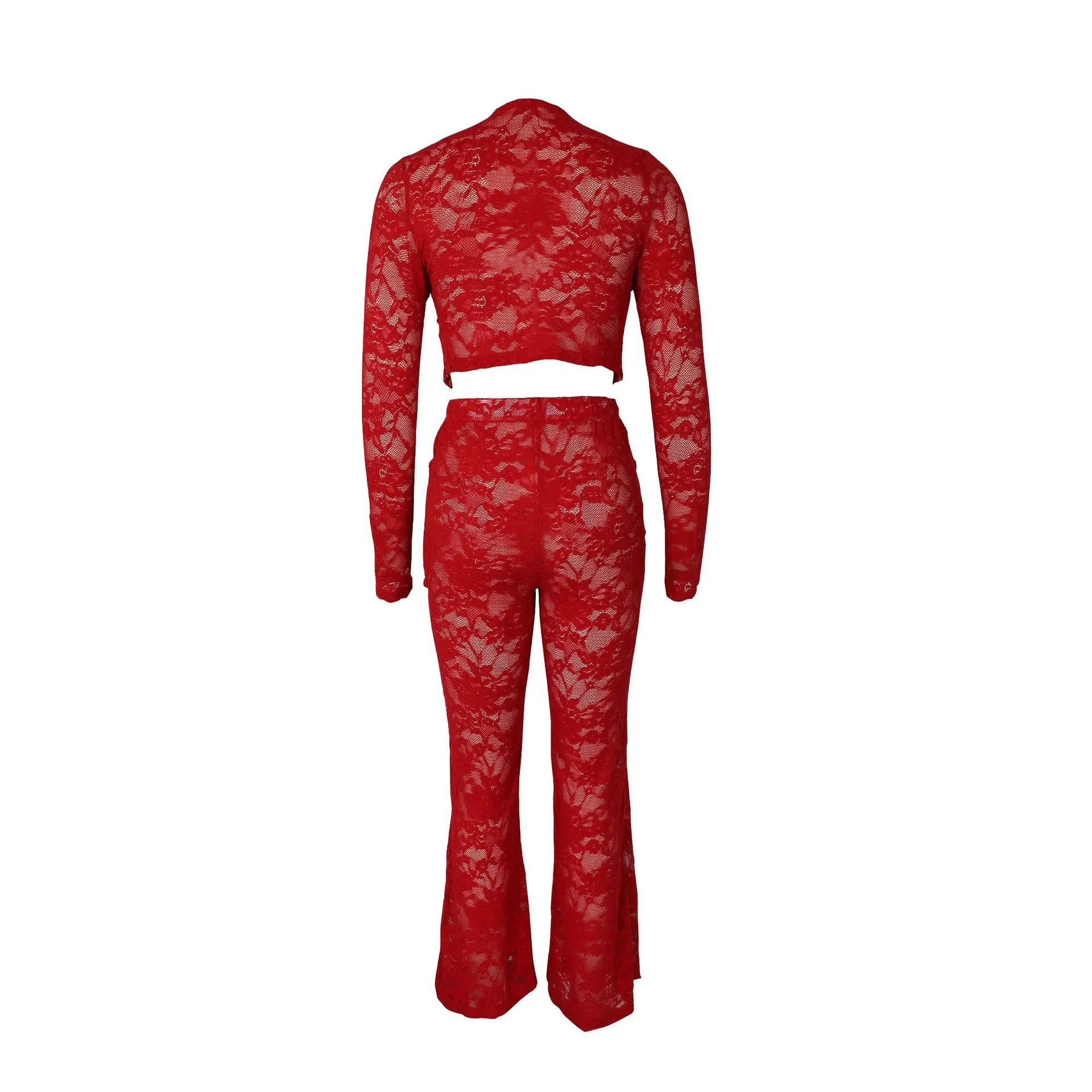 See Through Lace Set With Long Sleeve Top And Pants