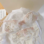 Lace Set With Embroidered Details Two-piece Sheer Push Up Bra And Matching Briefs