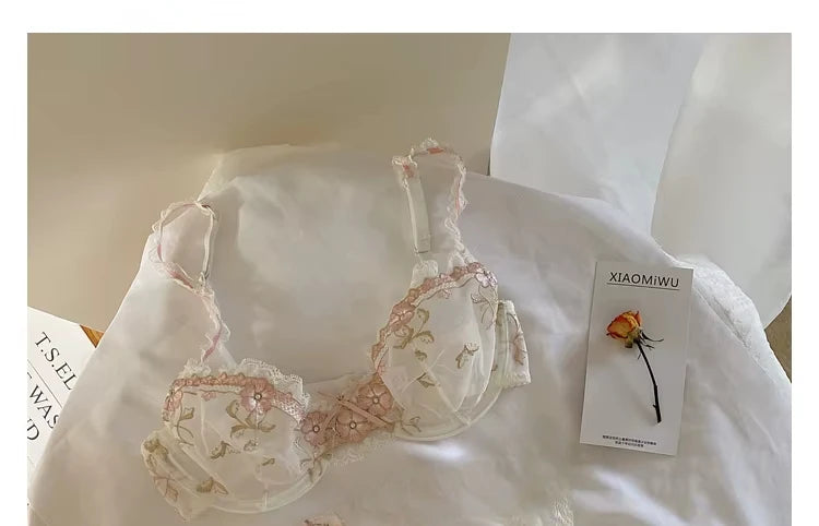 Lace Set With Embroidered Details Two-piece Sheer Push Up Bra And Matching Briefs