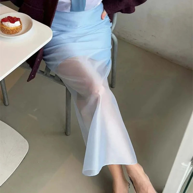 See Through High Waist Mesh Maxi Skirt