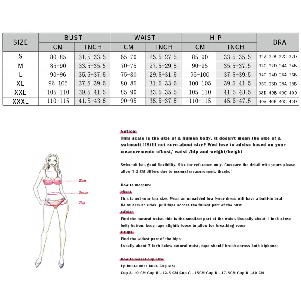 Crimson Push Up Bandeau Bikini Set