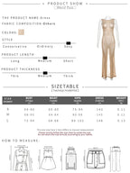 See Through Glitter Backless Dress l