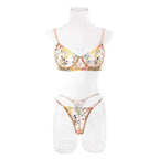 Floral Sheer Embroidery Lingerie Set With Underwire Push Up Bra And Panty Two Piece