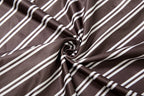 Stripe Print two piece Set With Crop Blouse And Hip Skirt