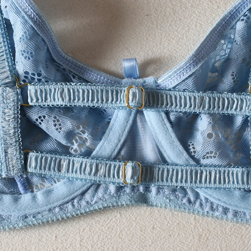 Lace Embroidered Bra and Thong Lingerie Set