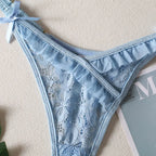 Lace Embroidered Bra and Thong Lingerie Set