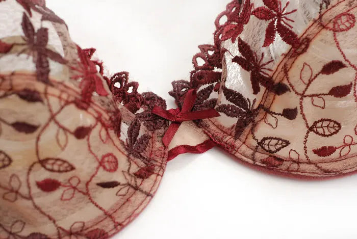 Burgundy Lace Mesh Push Up Bra Set With Embroidery Ultra Thin Sexy Lingerie For Women