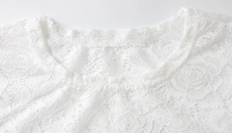 Lace Sheer Bodycon Dress With O Neck Long Sleeve
