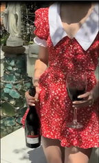 Romantic Red Floral Peter Pan Collar Dress With Puff Sleeves V Neck Button Front A Line Mini