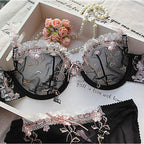 Lace Set With Embroidered Details Two-piece Sheer Push Up Bra And Matching Briefs