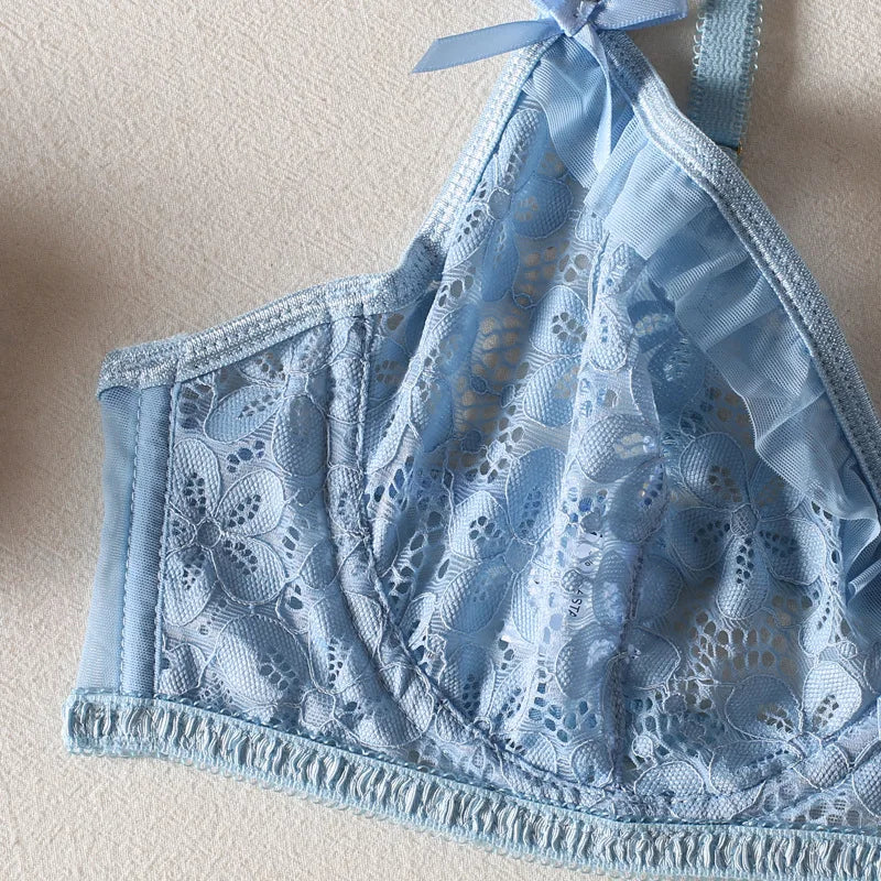 Lace Embroidered Bra and Thong Lingerie Set