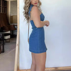 Slim Denim Dress With Back Zipper Design